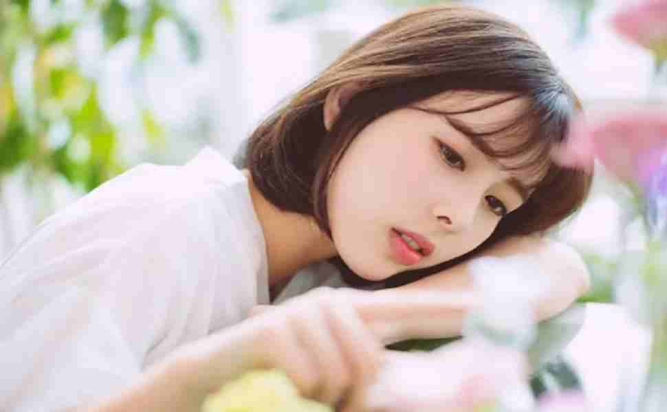 杨洋
